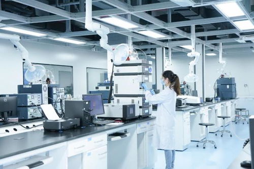 制度創(chuàng)新與科技創(chuàng)新雙輪驅(qū)動(dòng) 廈門(mén)海滄打通助企紓困“最后一公里”技術(shù)服務(wù)